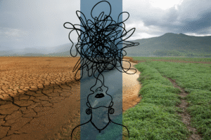 If climate change is making you anxious, experts way to cope with it