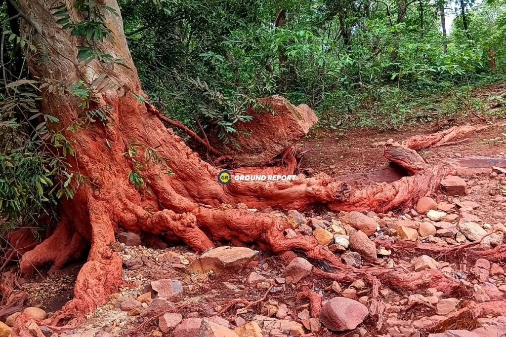 Surjagad village maharashtra