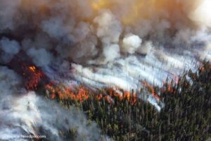 Countries with lower incomes suffer more consequences from forest fires
