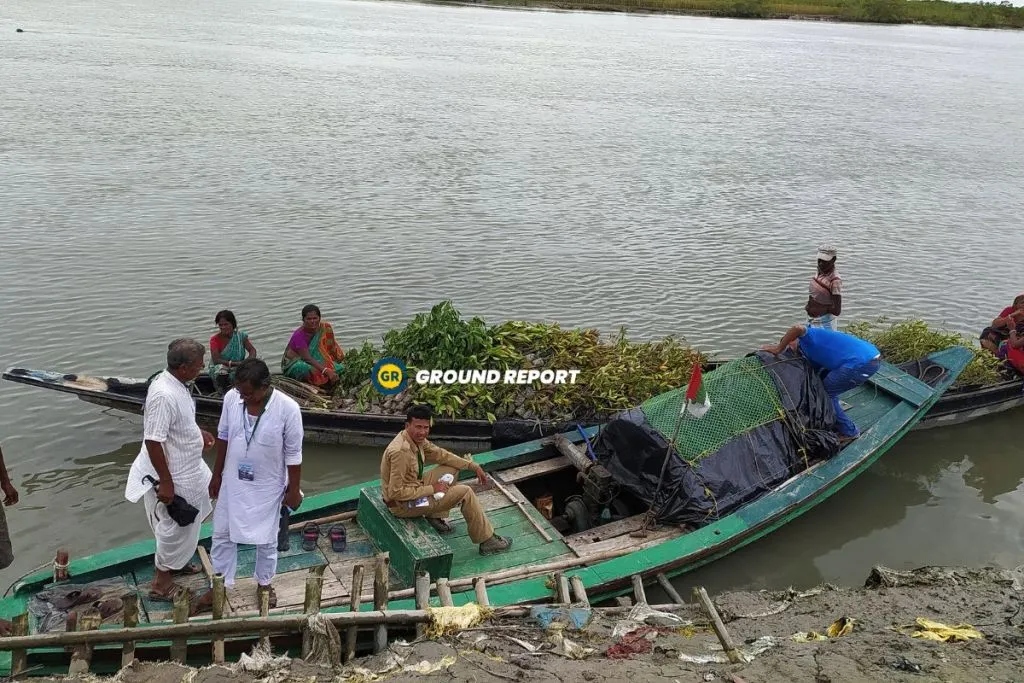 Sundarban Revival, People are planting mangrove saplings in the mudflats along the river banks. Photo Credit: Umashankar Mandal/Ground Report