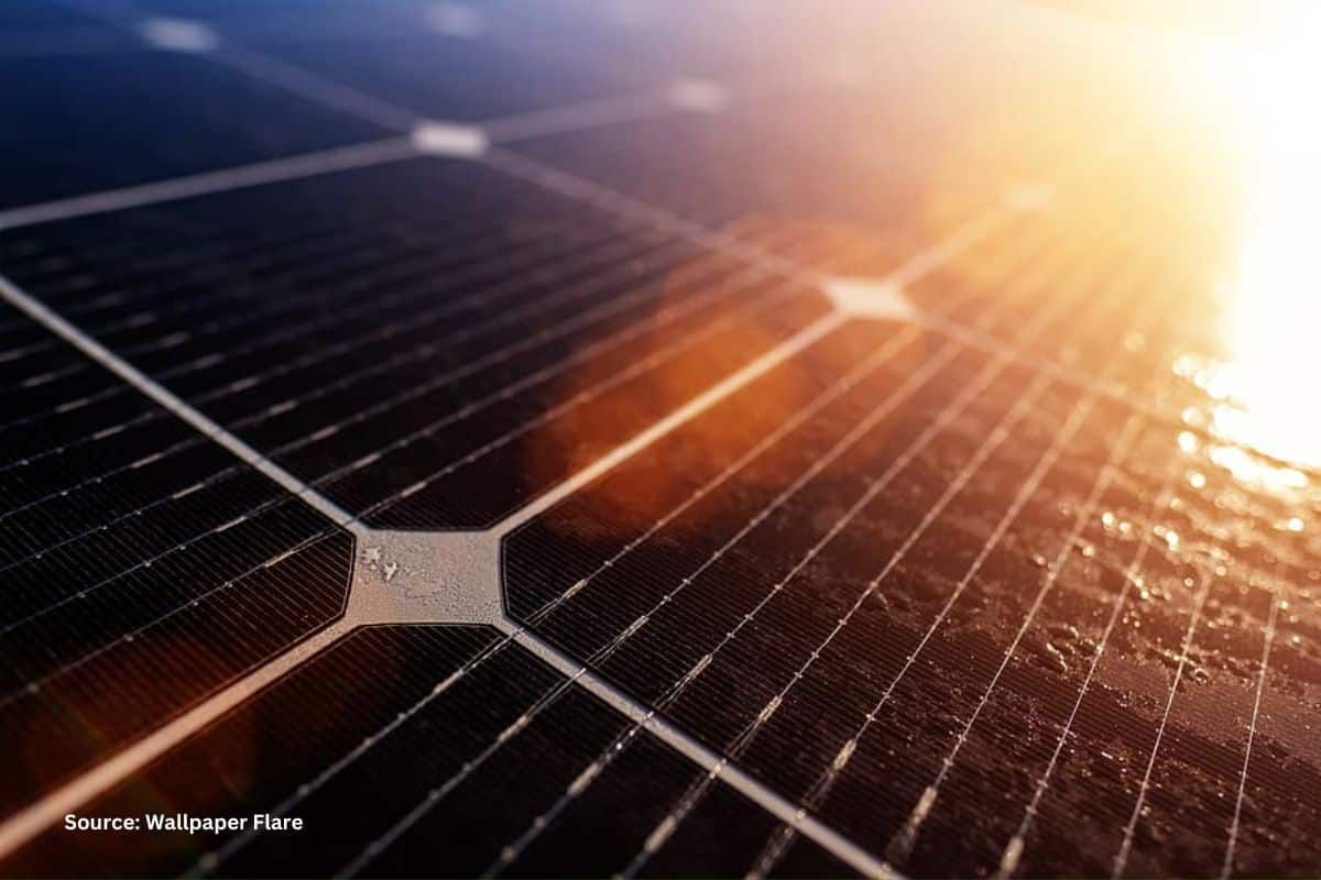 How printable solar panels work?