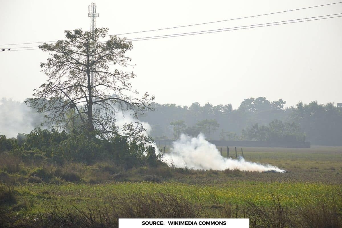 Stubble burning reduced by 54% this year, What are the reasons?