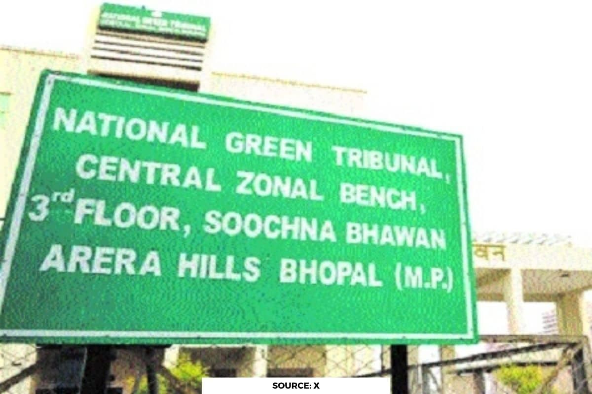NGT: These Bhopal restaurants violating environmental norms
