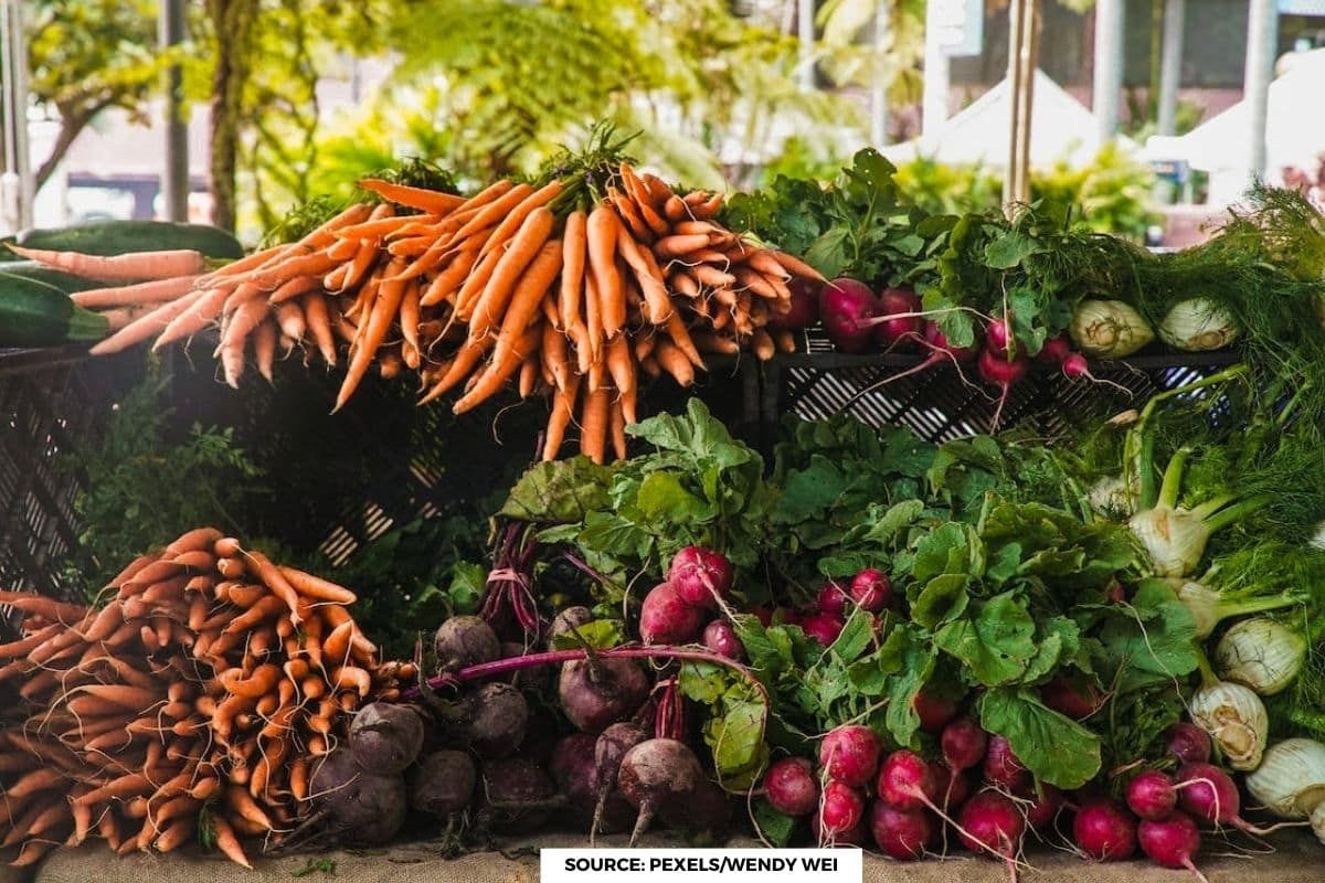 How concentration of heavy metals increased in Bengaluru’s vegetables?