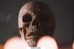 What is the animal that kills most people in world?