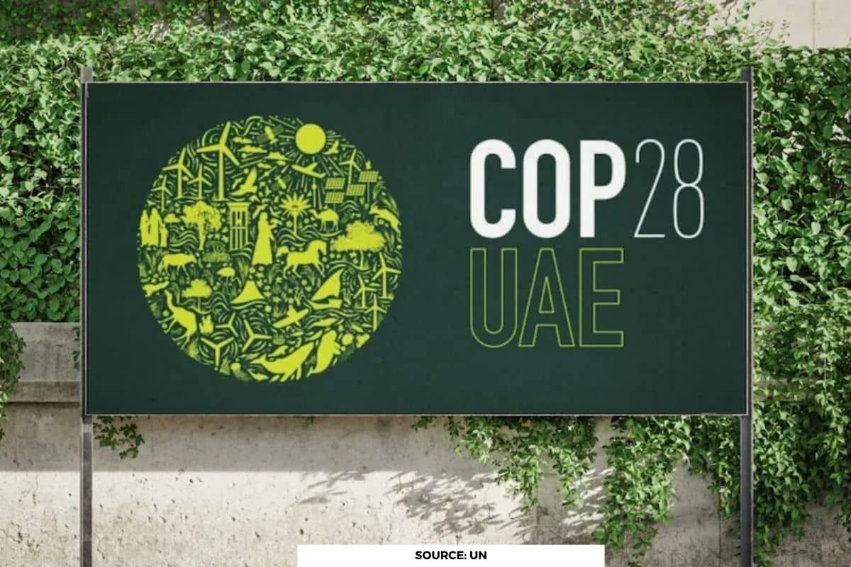 COP28 commences: Hopes high for consensus on loss and damage fund operations