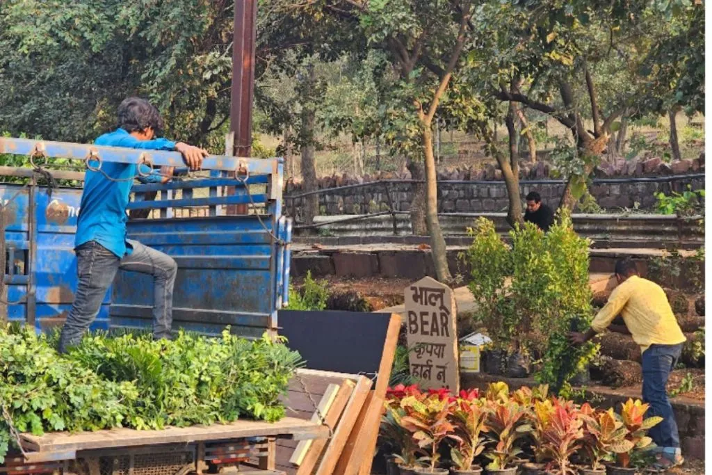 van vihar film set