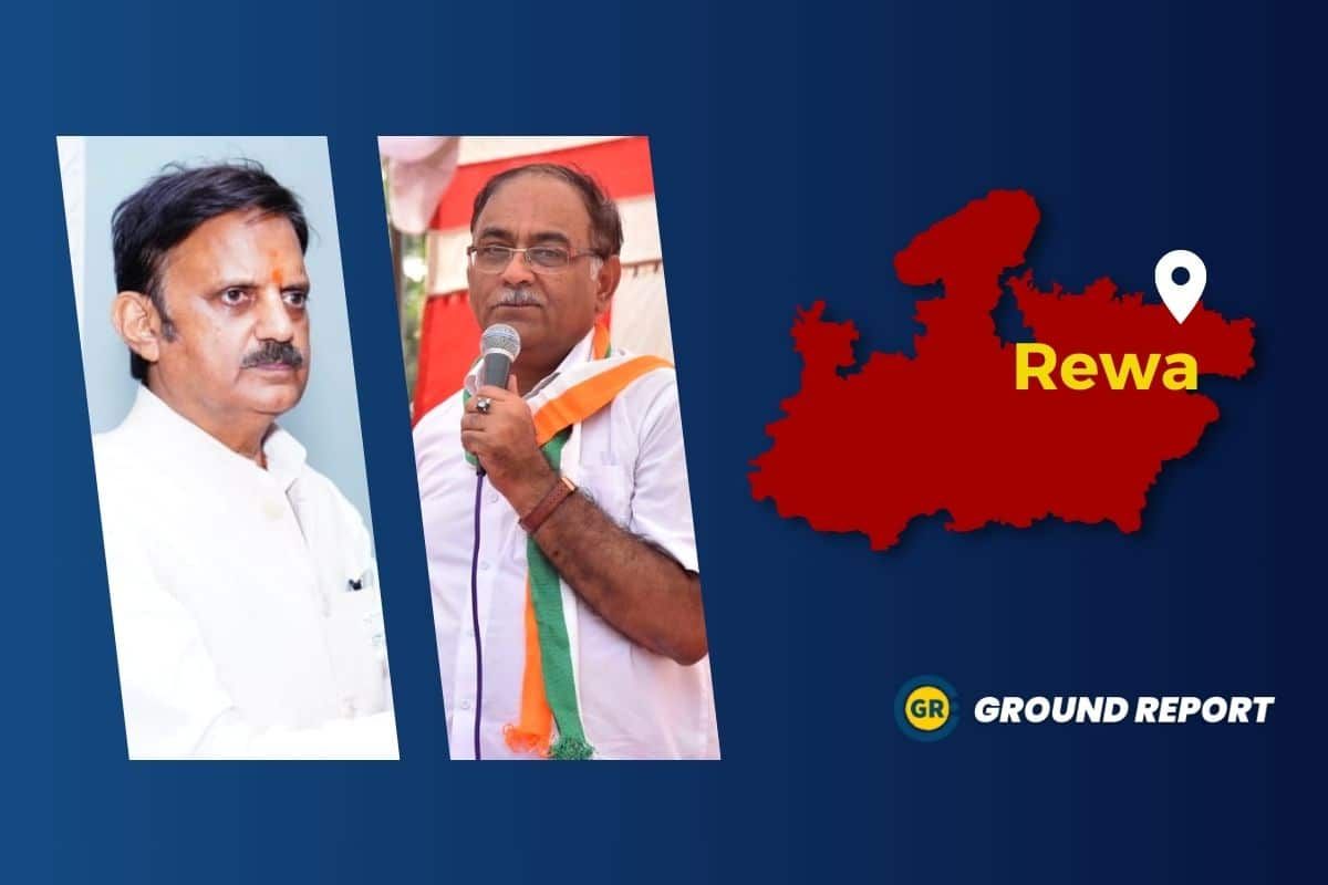 Rewa Vidhansabha: क्या हैं इस सीट पर विकास के मुद्दे और किस पार्टी का पलड़ा है भारी?
