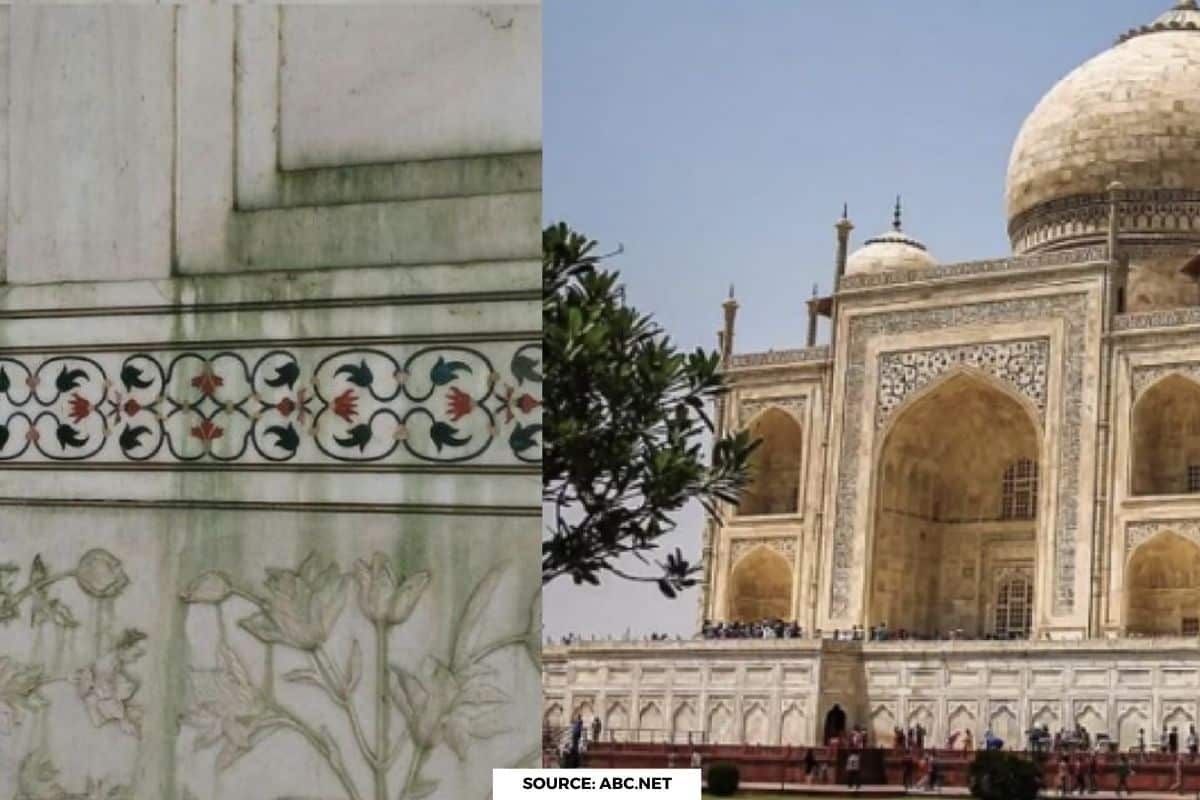 Taj Mahal is turning green, these are the reasons