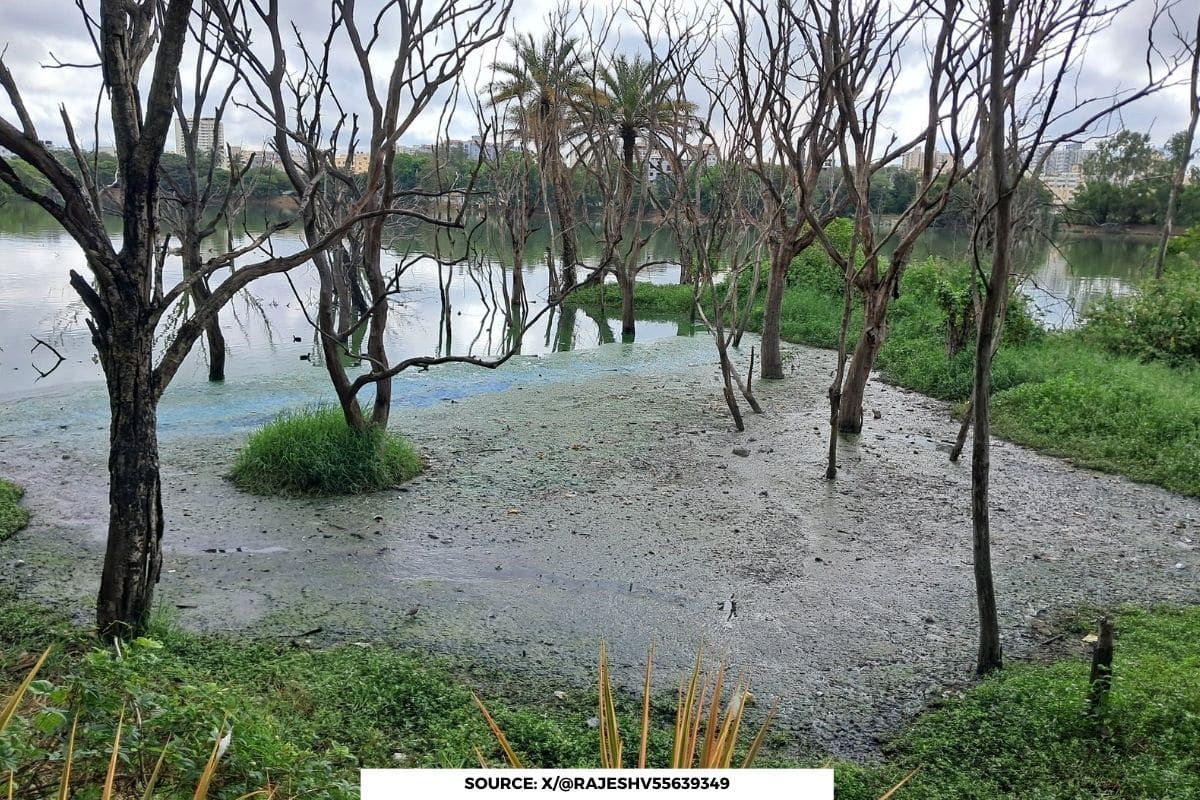 114 lakes rejuvenated in Bengaluru, 19 unfit to use: Data