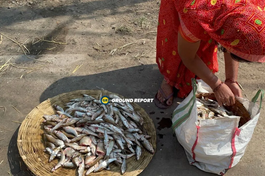 fishermen of budhni
