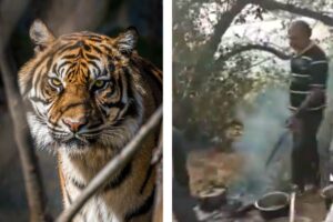 मध्यप्रदेश के पूर्व वन मंत्री द्वारा वन नियमों के उल्लंघन की जांच आरोपी अधिकारी के हाथ में