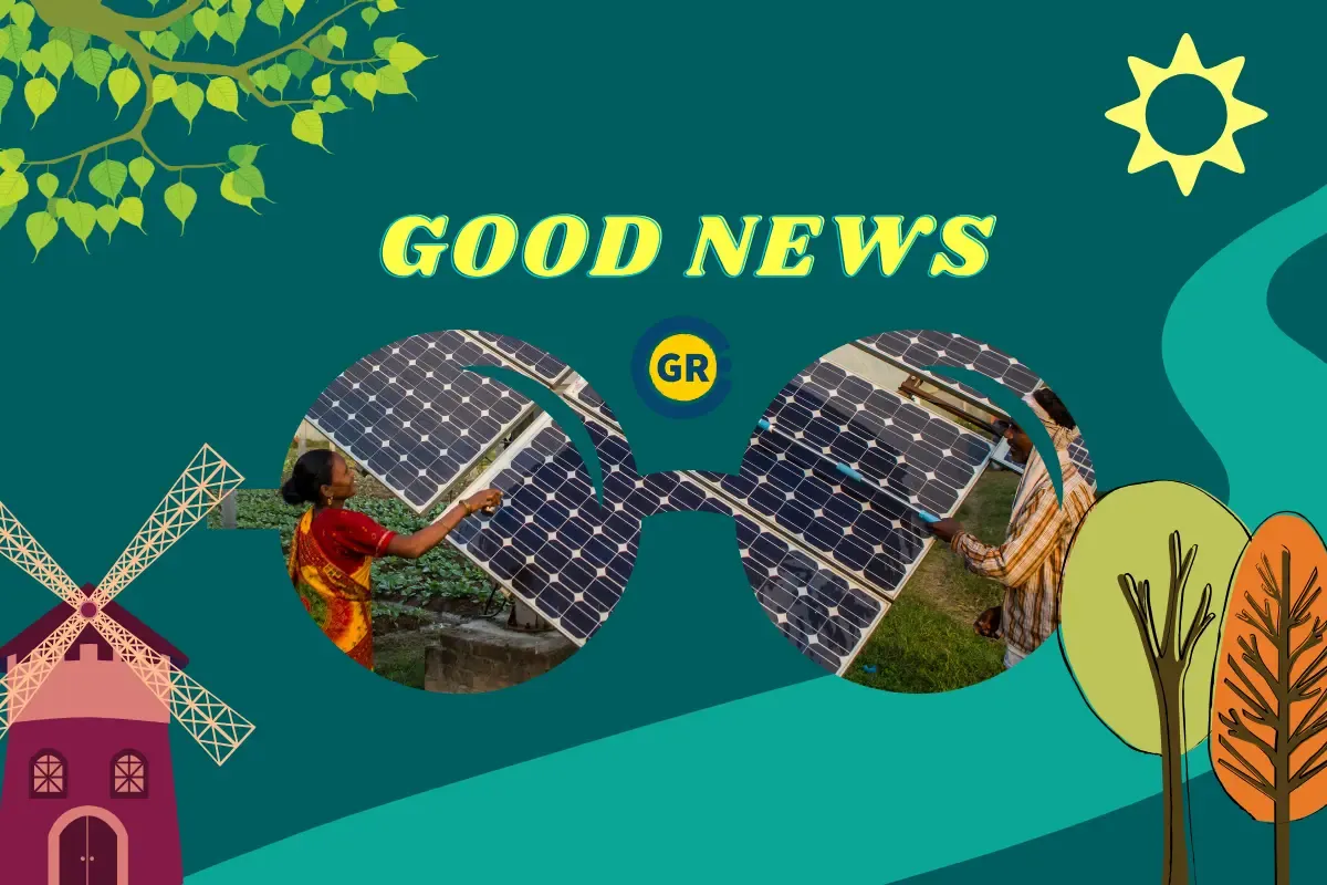 Recap 2023: Positive Environmental News Inspiring Hope for a Better world