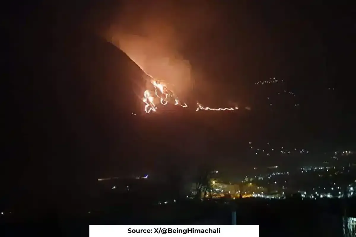 Forest fires increased 7 times in Himachal due to less snowfall