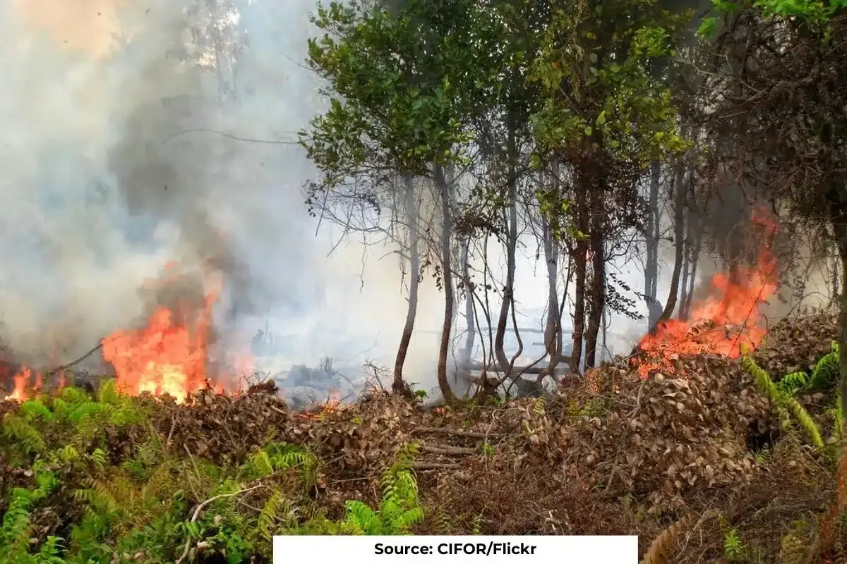 Uttarakhand experienced 1006 forest fire incidents in last two months: FSI Data