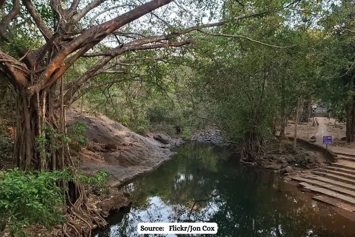 How dumping of Iron ore in and around Bhagwan Mahavir Wildlife Sanctuary is impacting ecology?