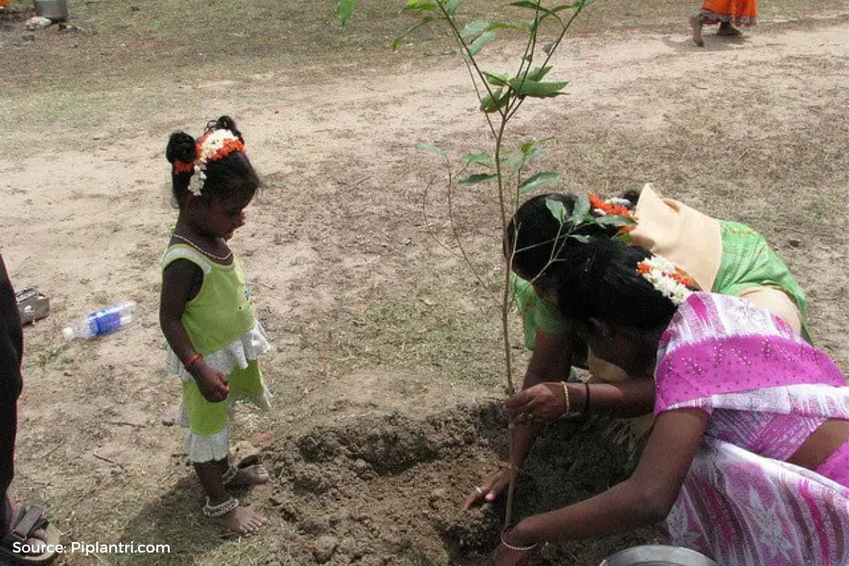 Piplantri village celebrates birth of girl child by planting 111 saplings