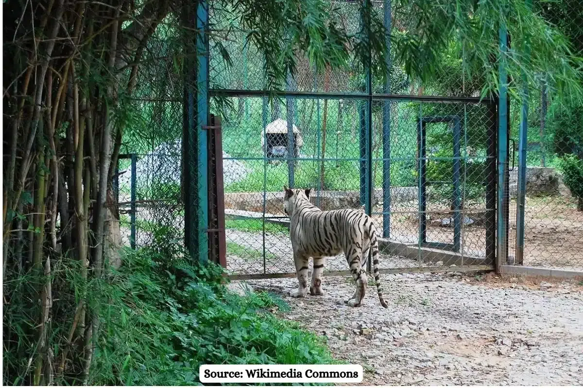 How a highway construction through Bannerghatta National Park will damage the ecology?