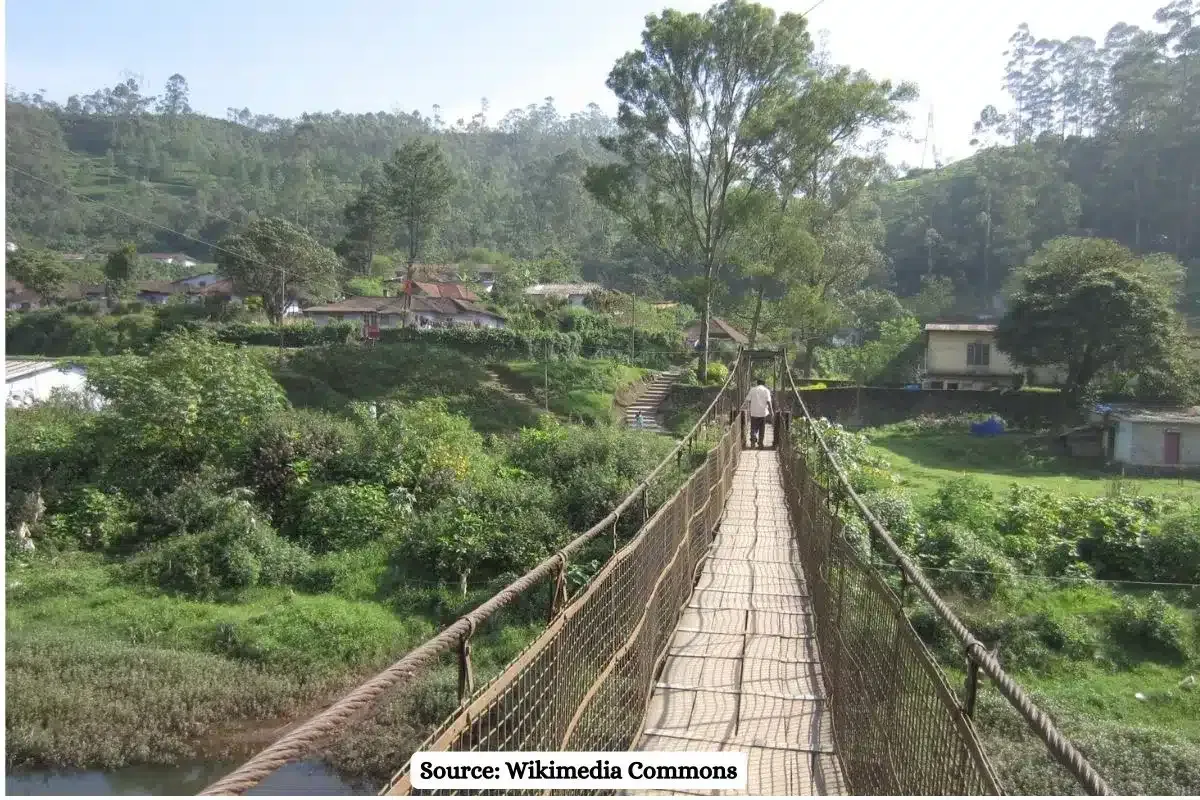 How Kerala's Silent Valley Movement changed environmental activism forever