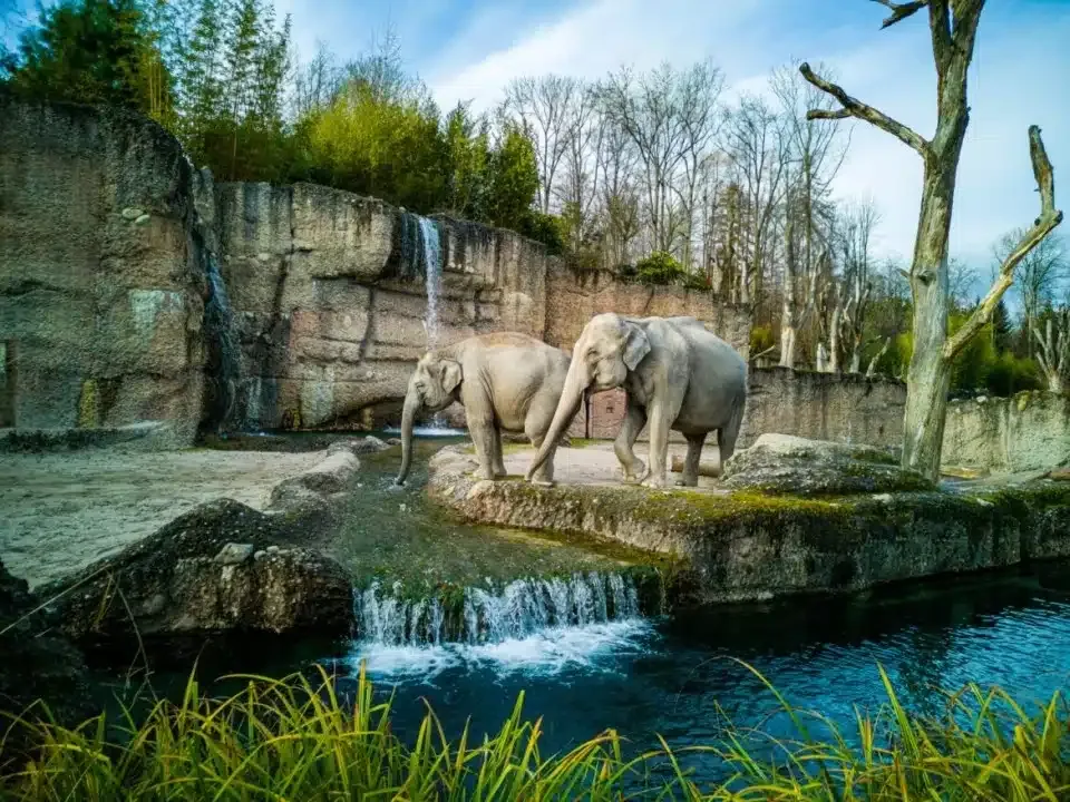 Greens Zoological Rescue and Rehabilitation Kingdom