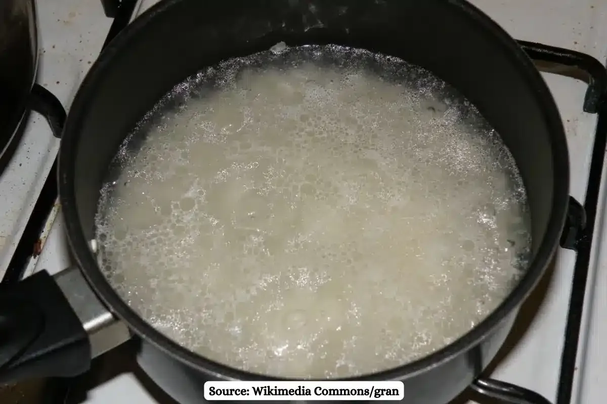Millions are at risk using high arsenic water for cooking: study