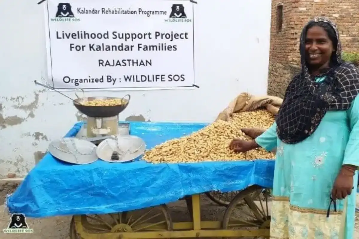 Empowering women, preserving wildlife: Story of Kalandar community
