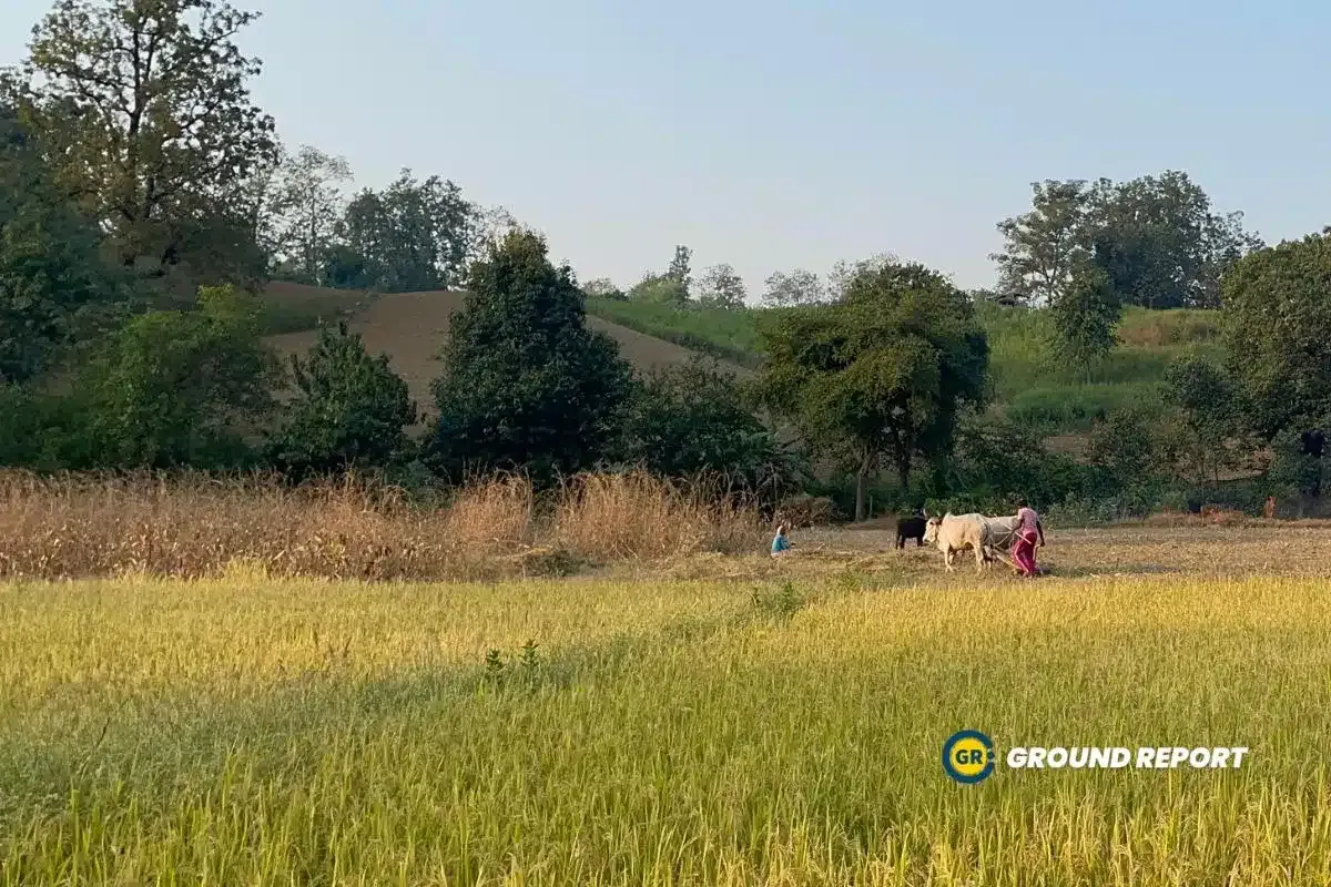 forest villages of Madhya Pradesh