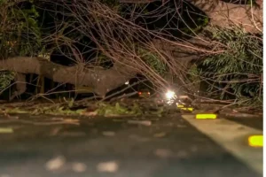 दिल्ली में आए भयानक तूफान से अब तक 2 की मौत और 23 घायल