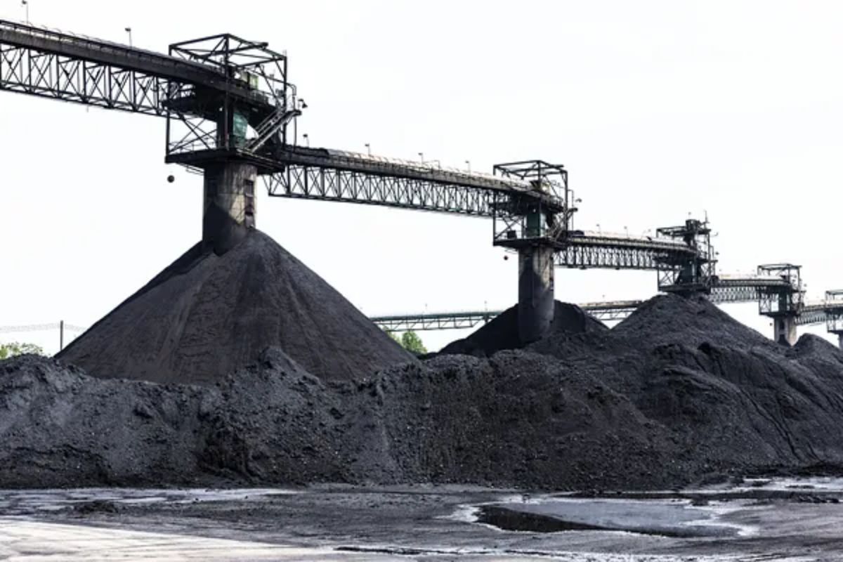 Know organisation which alleges Adani group of Coal Scam