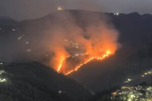 Forest Fire in Shimla: 10,000 Hectares Damaged in Himachal Pradesh