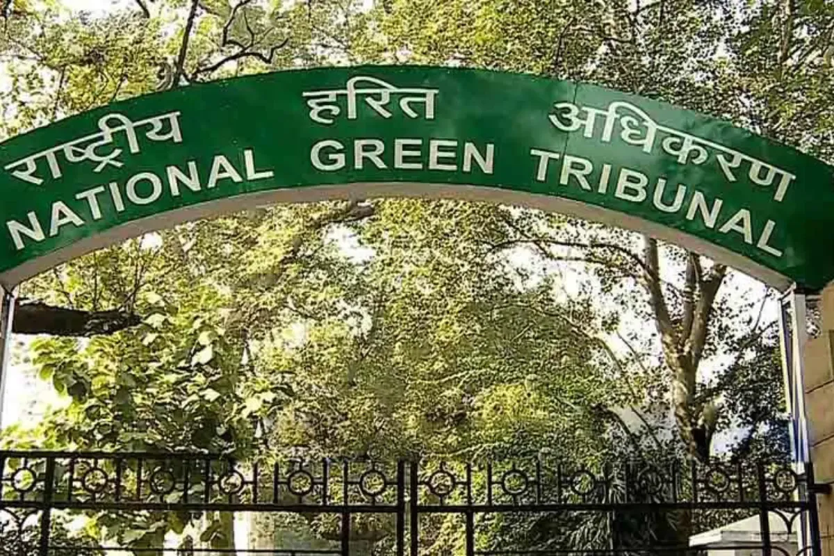 गाजियाबाद में सड़क निर्माण के लिए काटेंगे 33,776 पेंड ?