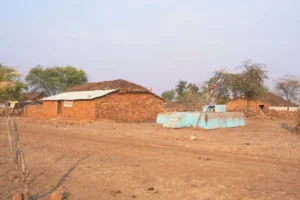 This is surprising prediction for summer of 2024