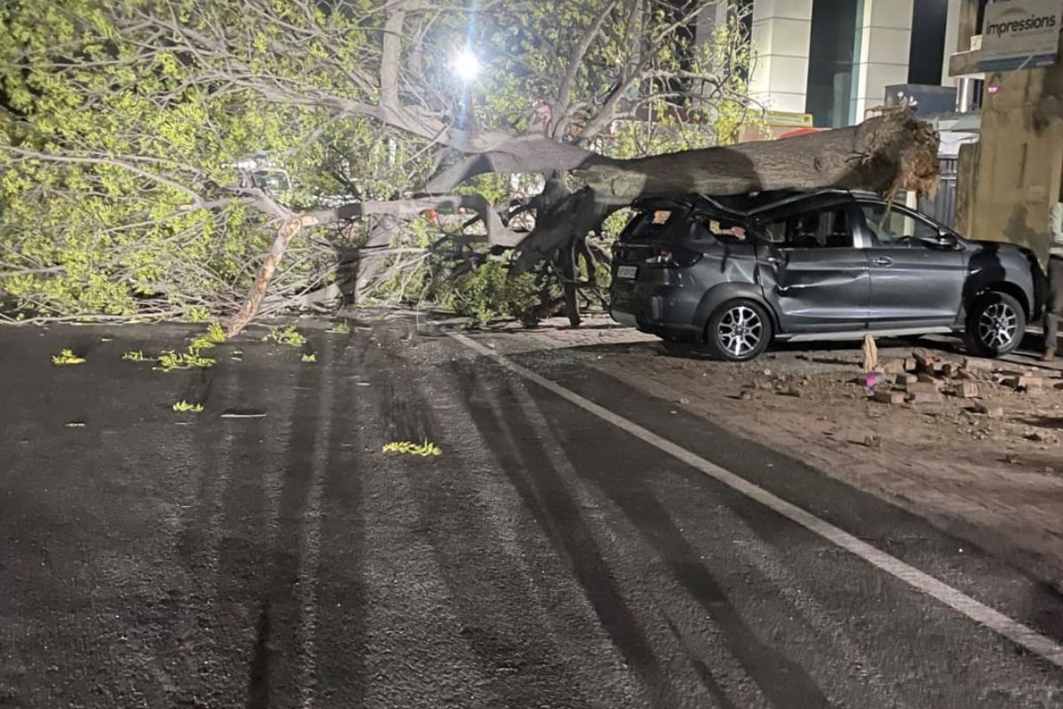 Delhi dust storm turns deadly, Two killed and dozens injured