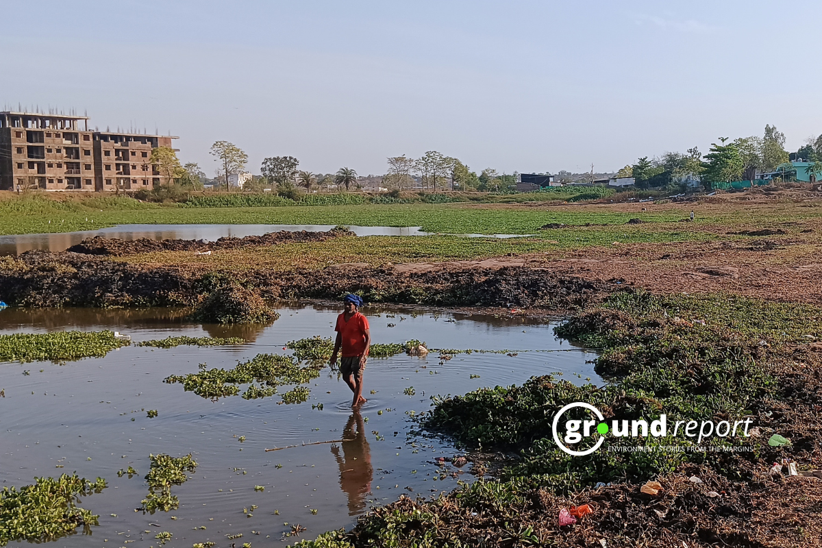 pond in jhabua
