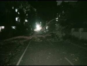 Pune: मूसलाधार बारिश के बीच पेड़ गिरने से 29 वर्षीय फोटोग्राफर की मृत्यु