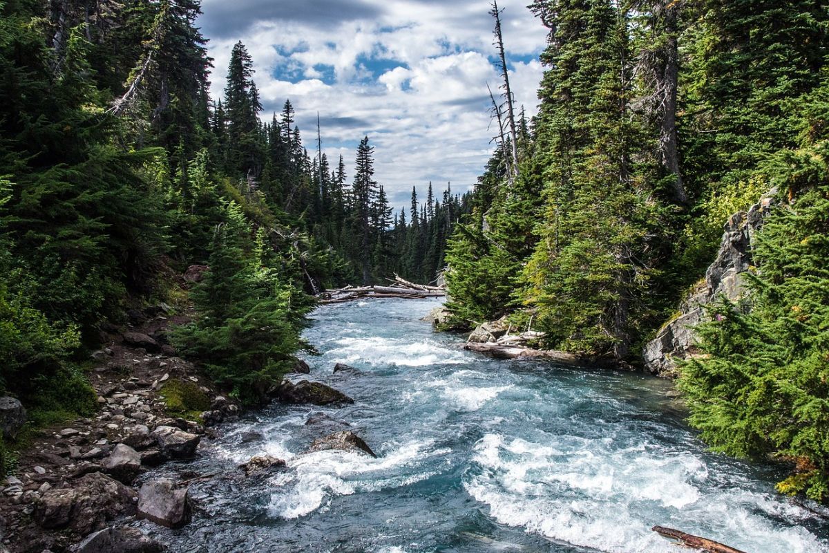 Human activities are accelerating decomposition rates in rivers: study
