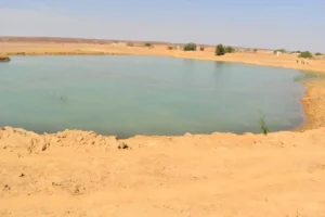 ग्राम समुदाय की सहभागिता से संभव है पर्यावरण संरक्षण