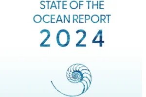 State of the Ocean Report 2024: 20 सालों में दोगुने गर्म हुए महासागर