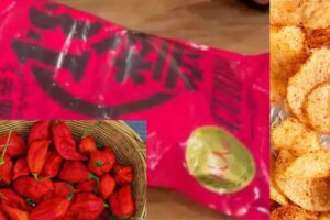 What is bhut jolokia that hospitalised Japanese students?