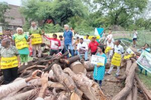 पुराने पेड़ों को काट कर 51 लाख पौधे लगाएगा इंदौर, अमित शाह लेंगे भाग