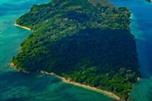 अंडमान निकोबार में कटेंगे लाखों पेड़, भरपाई होगी मध्य प्रदेश में