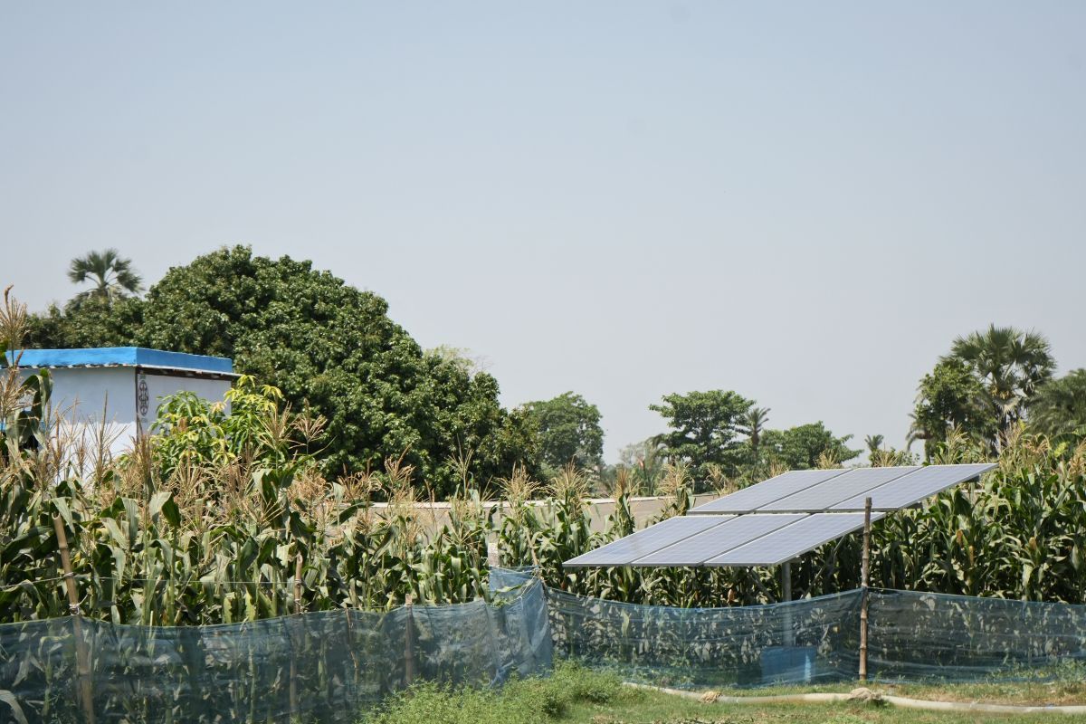 Solar powered water pump set up of Anu Devi in Muzaffarpur, Bihar. Photo by Ashutosh Kumar
