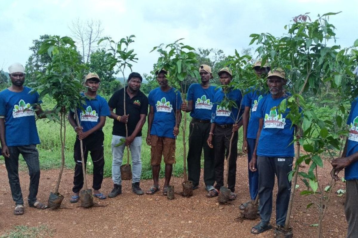 plantation