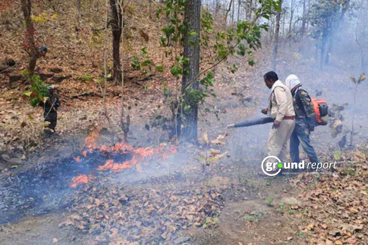 वनाग्नि से जंग लड़, बैतूल के युवा आदिवासी बचा रहे हैं जंगल और आजीविका