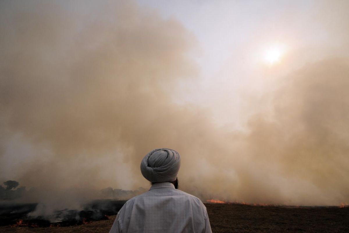 Delhi’s air quality worsens as vehicles cause over half of local pollution: CSE