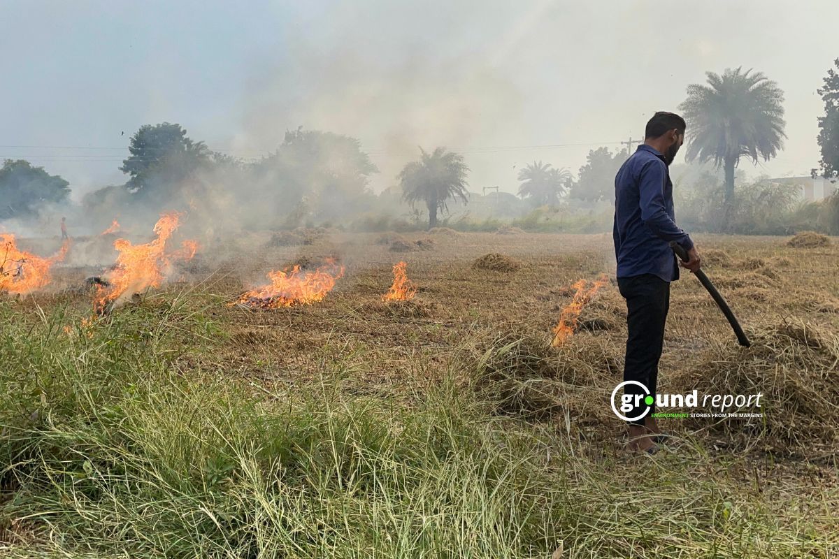 farmer burning stubble in Madhya Pradesh