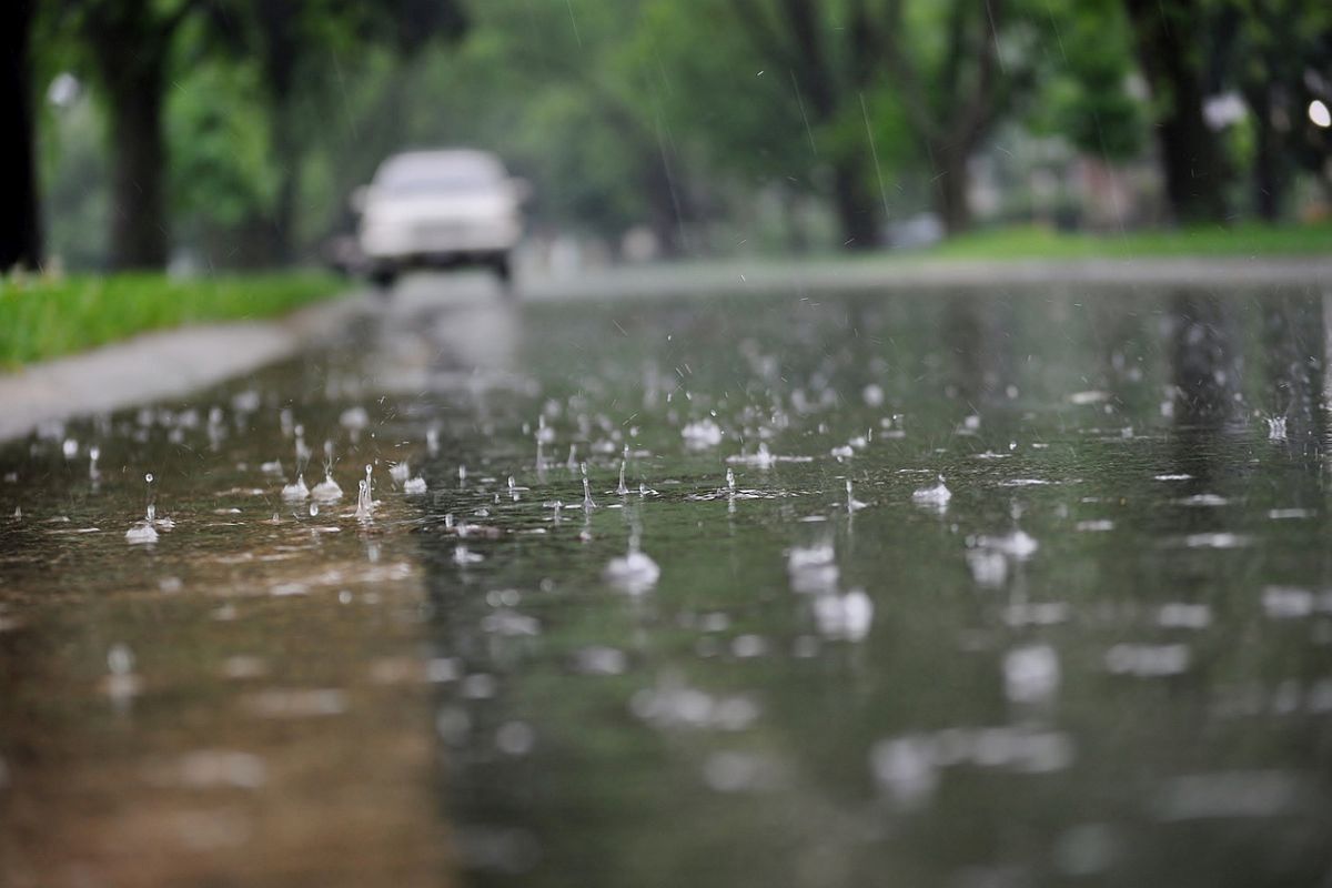 Rain, fog, and temperature changes hit parts of India this week