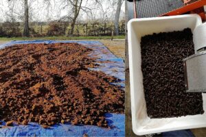 Drinking coffee, tea linked to lower risk of head & neck cancers