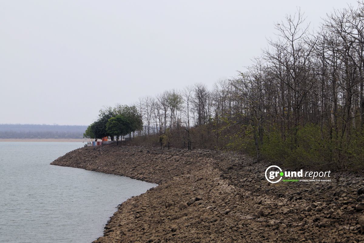 Forests near Indira Sagar Dam in Madhya Pradesh