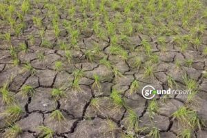 Why was 2024 hottest year, what does it mean for our future?